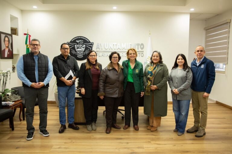 WhatsApp Image 2025-12-17 at 14.39.29 (2)