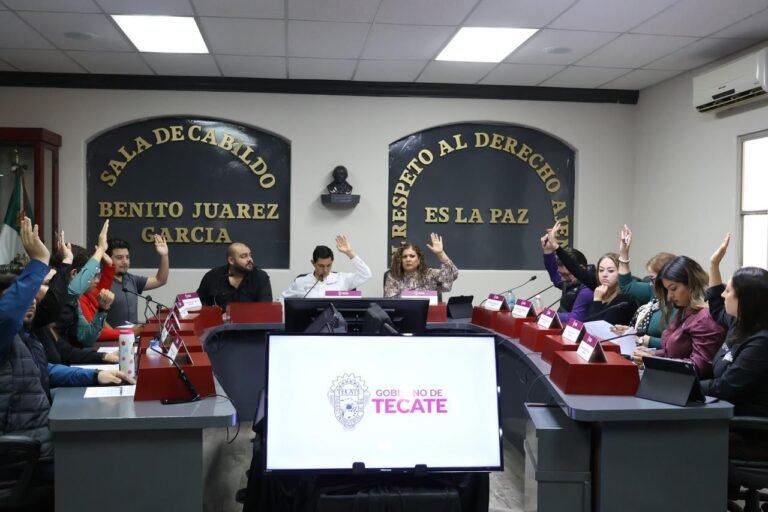 WhatsApp Image 2025-12-19 at 10.26.56