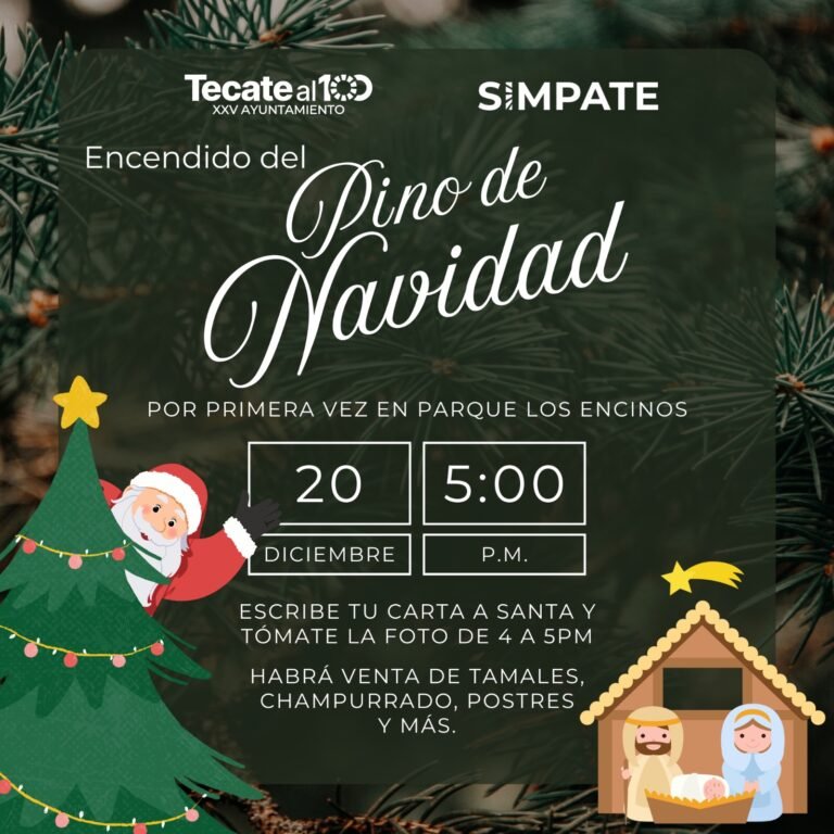 WhatsApp Image 2025-12-19 at 18.49.57