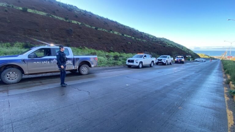 WhatsApp Image 2025-12-26 at 15.22.08