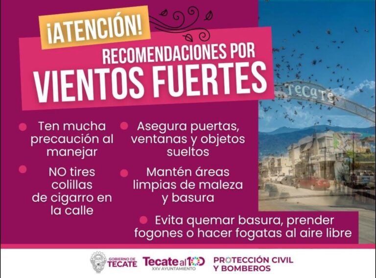 WhatsApp Image 2025-12-29 at 14.12.00