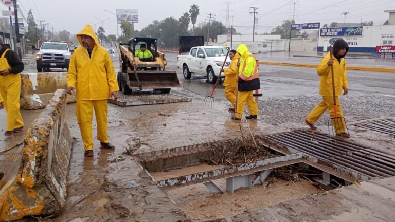 WhatsApp Image 2026-01-01 at 12.42.00 (2)