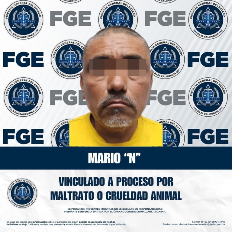 WhatsApp Image 2026-01-02 at 13.37.09