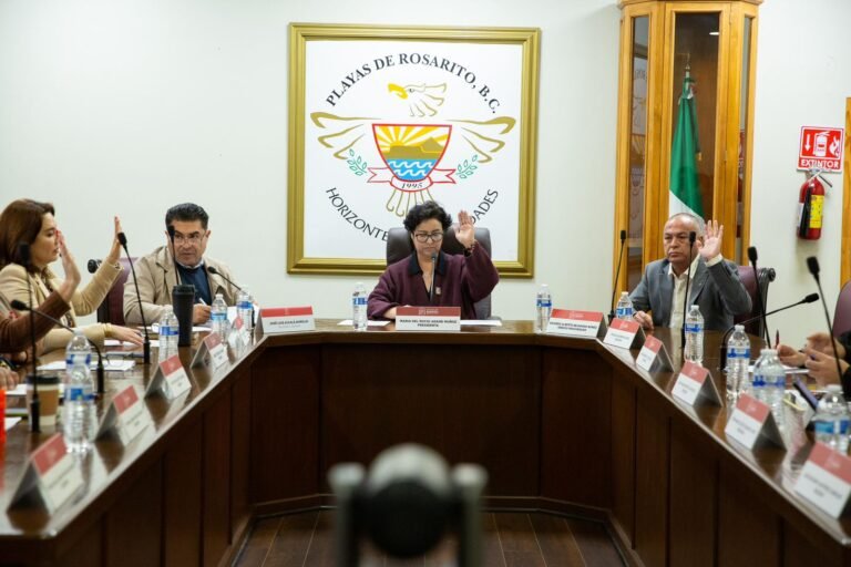 WhatsApp Image 2026-01-02 at 14.54.33