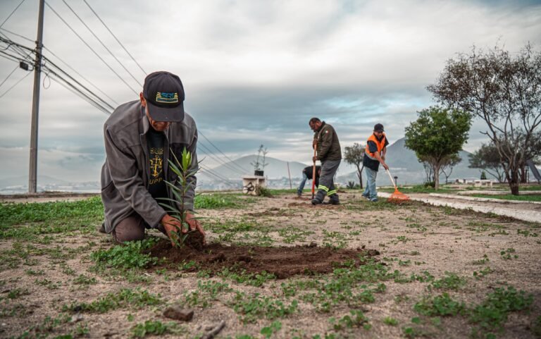 WhatsApp Image 2026-01-07 at 15.05.16