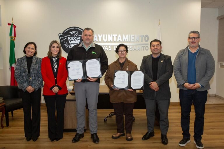 WhatsApp Image 2026-01-07 at 17.17.52