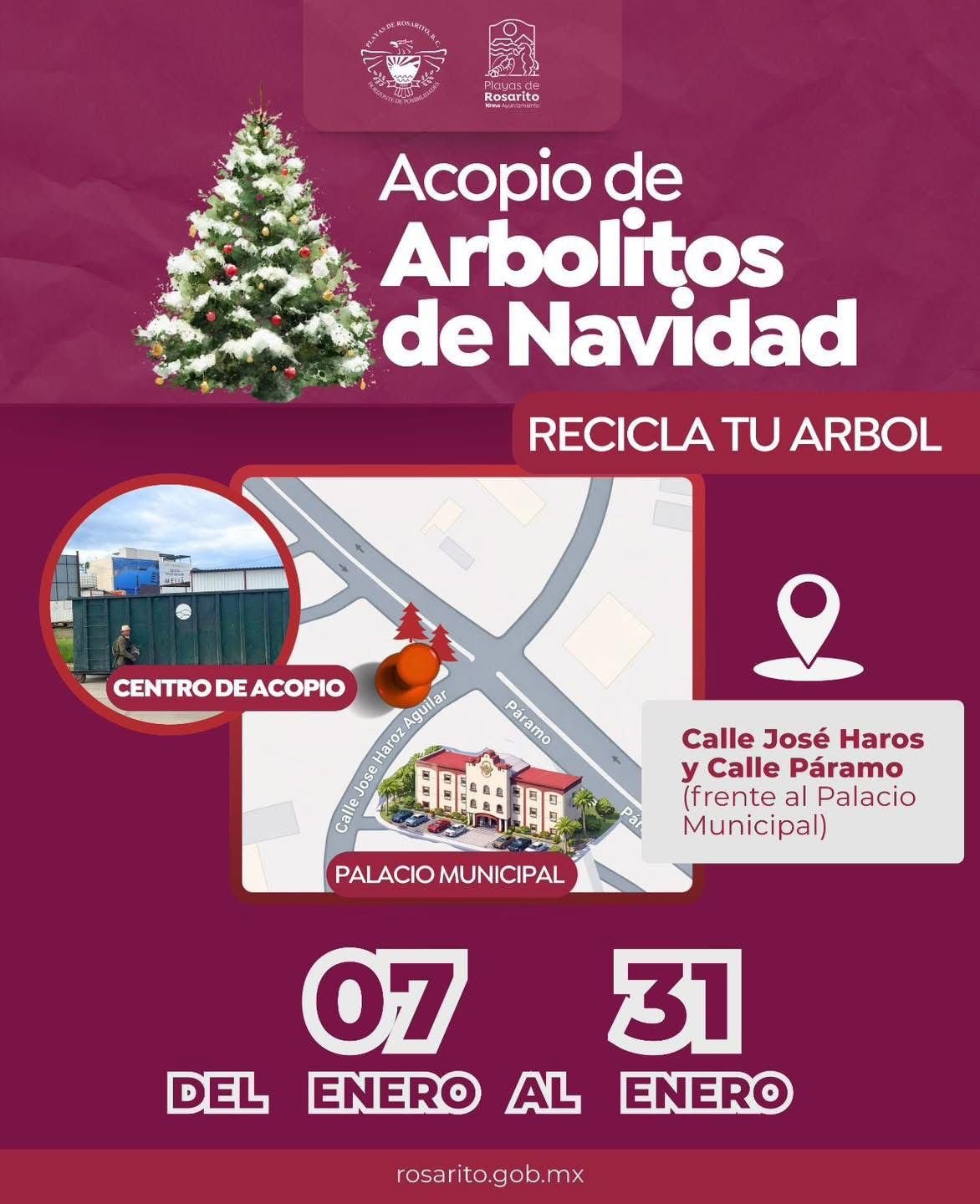 WhatsApp Image 2026-01-08 at 10.54.05