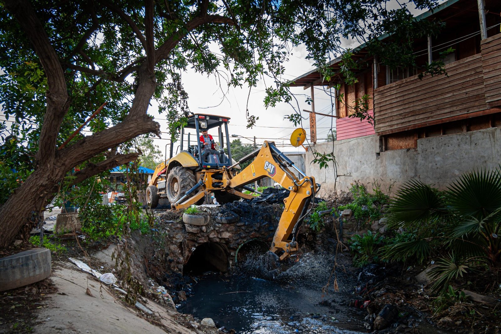 WhatsApp Image 2026-01-09 at 13.42.41 (1)