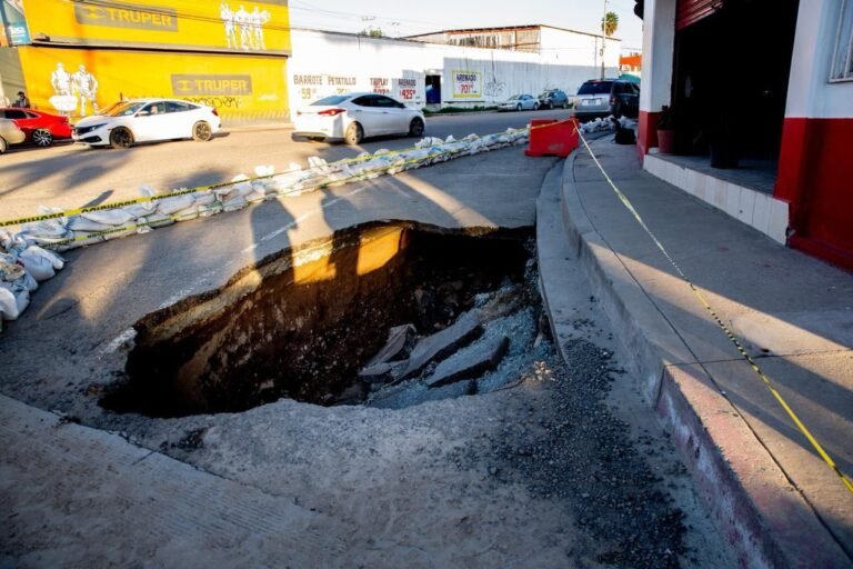 WhatsApp Image 2026-01-12 at 09.08.13