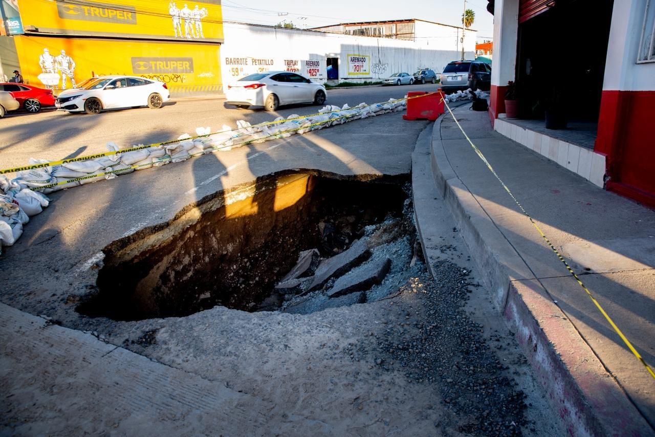 WhatsApp Image 2026-01-12 at 09.08.13