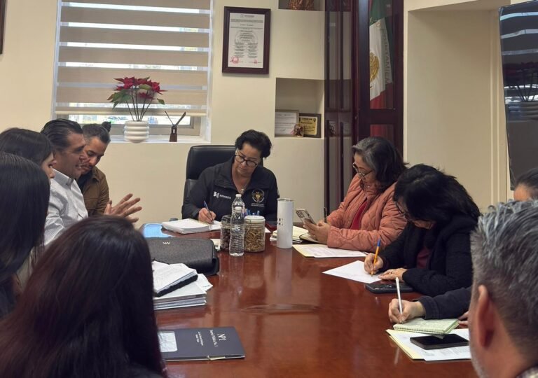 WhatsApp Image 2026-01-12 at 16.37.27