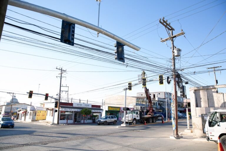 WhatsApp Image 2026-01-13 at 17.56.26