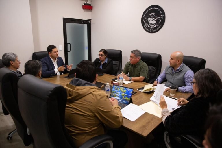 WhatsApp Image 2026-01-14 at 10.54.31 (1)