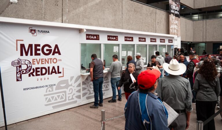 WhatsApp Image 2026-01-14 at 12.32.28