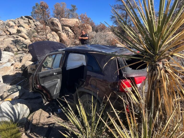 WhatsApp Image 2026-01-14 at 12.33.35