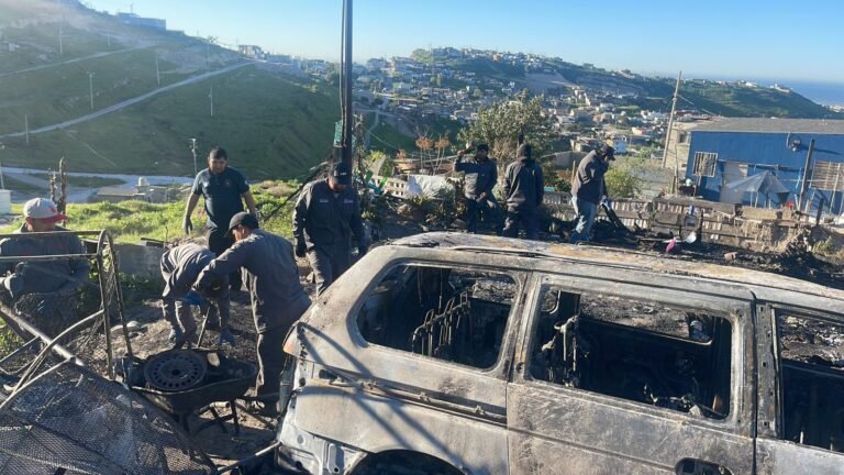 WhatsApp Image 2026-01-15 at 11.41.10