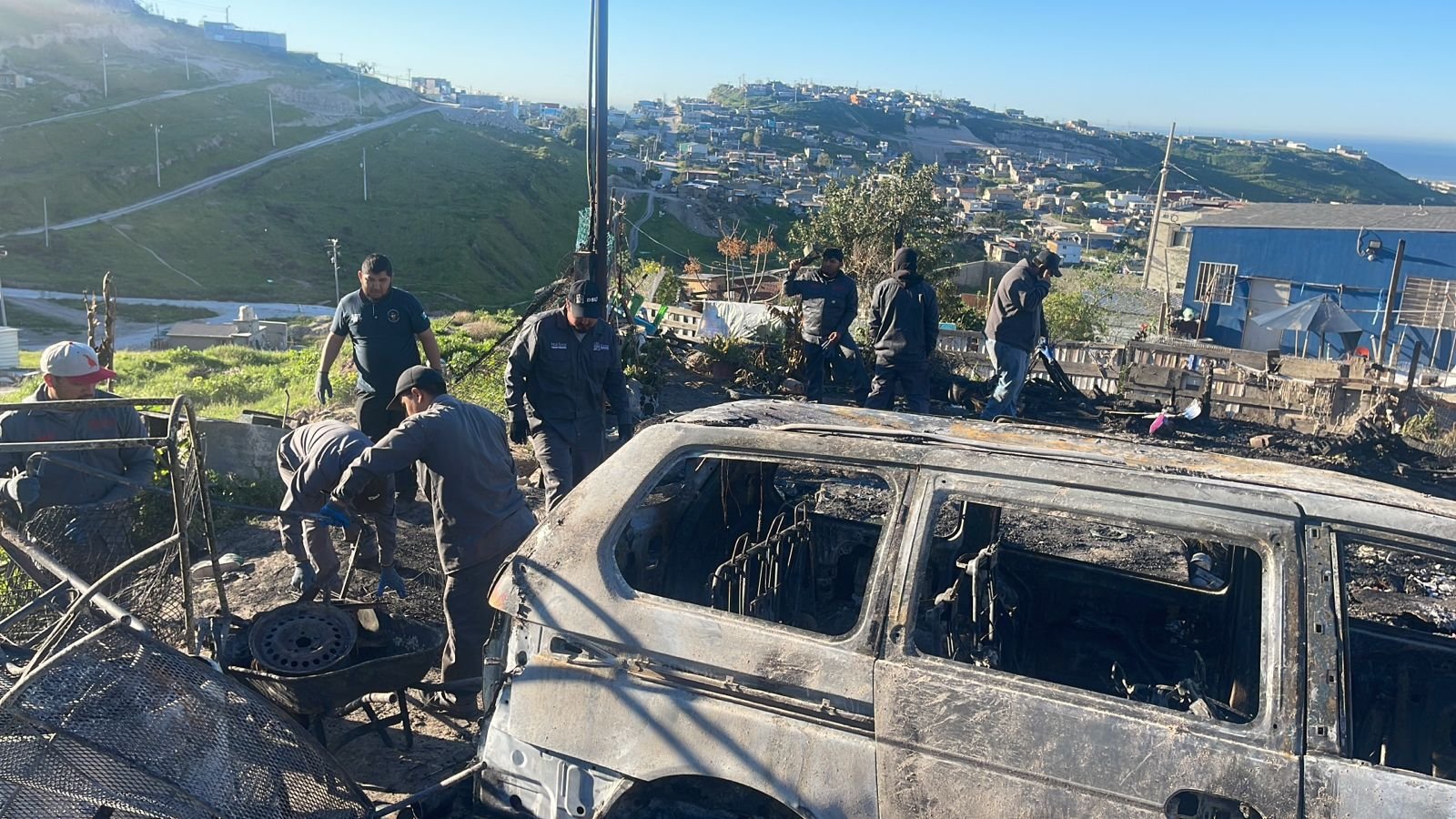 WhatsApp Image 2026-01-15 at 11.41.10