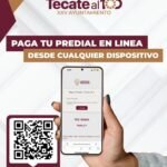 WhatsApp Image 2026-01-15 at 13.53.33