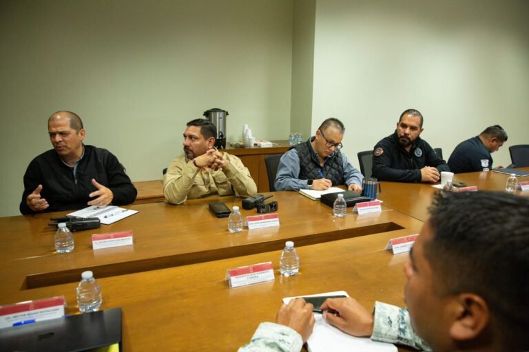 WhatsApp Image 2026-01-16 at 12.12.49