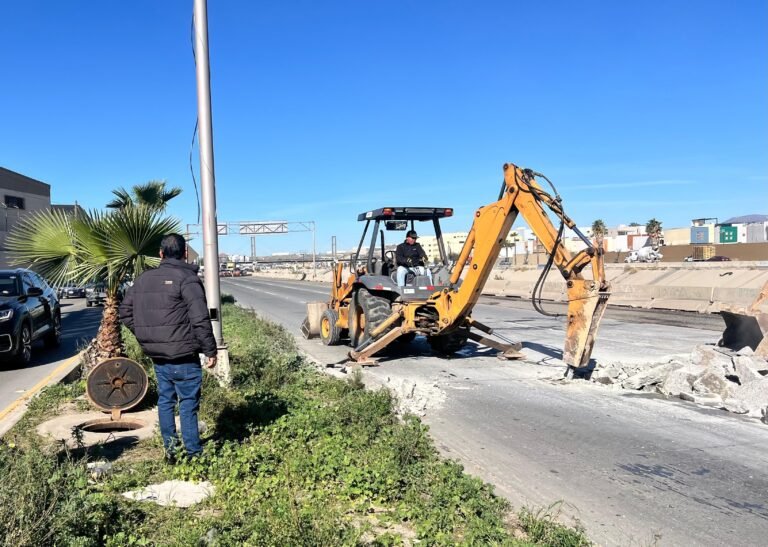 WhatsApp Image 2026-01-16 at 15.42.25