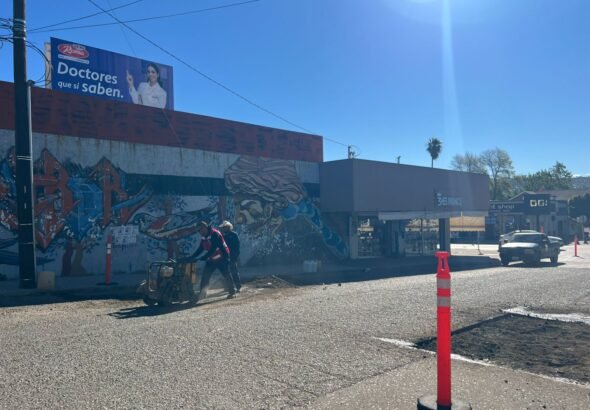 WhatsApp Image 2026-01-16 at 15.42.44 (1)