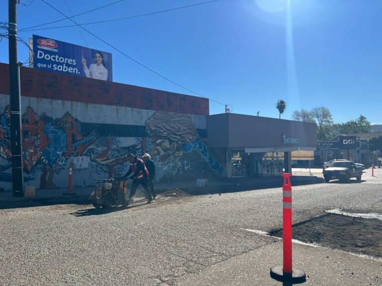 WhatsApp Image 2026-01-16 at 15.42.44 (1)