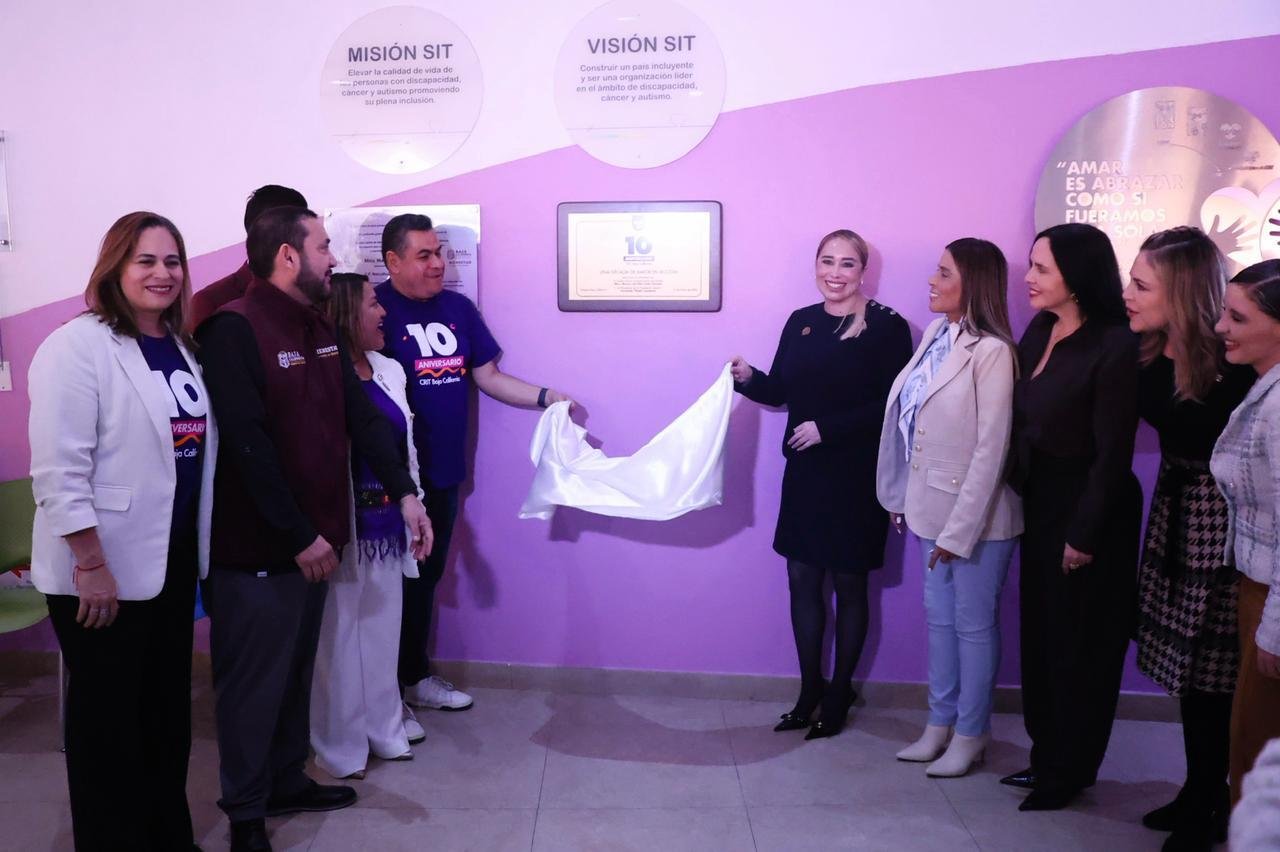 WhatsApp Image 2026-01-16 at 15.51.21