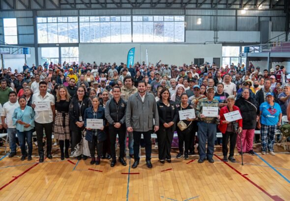 WhatsApp Image 2026-01-17 at 16.04.56