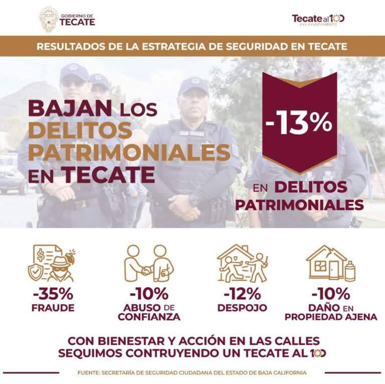 WhatsApp Image 2026-01-18 at 11.03.36