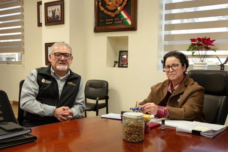 WhatsApp Image 2026-01-18 at 15.12.01