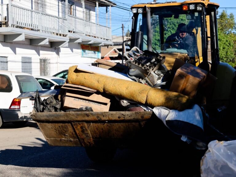 WhatsApp Image 2026-01-20 at 16.22.00 (1)