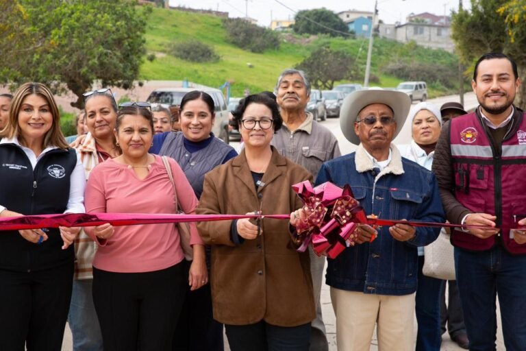 WhatsApp Image 2026-01-22 at 16.13.09