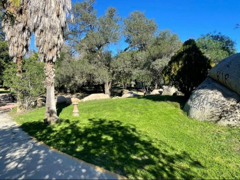 WhatsApp Image 2026-01-22 at 17.27.44