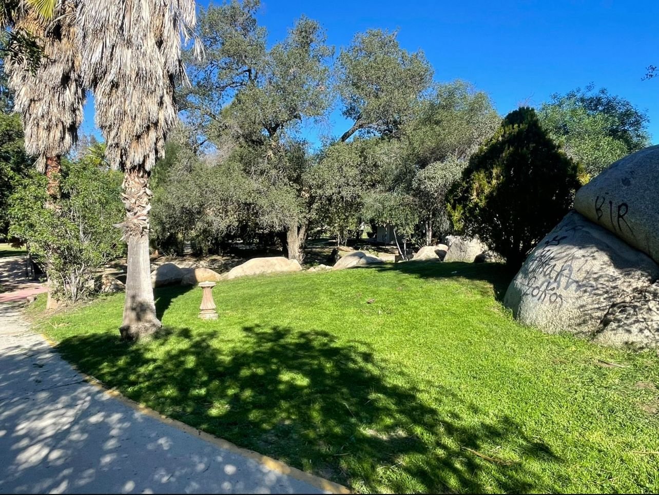 WhatsApp Image 2026-01-22 at 17.27.44