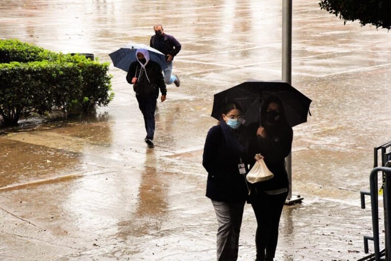 WhatsApp Image 2026-01-22 at 17.28.08