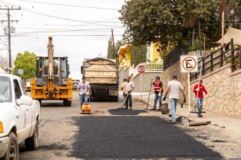 WhatsApp Image 2026-01-23 at 10.59.54 (3)