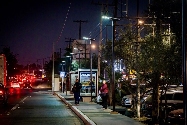 WhatsApp Image 2026-01-23 at 16.15.32 (1)