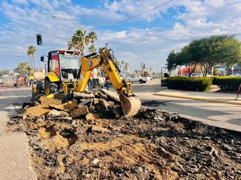 WhatsApp Image 2026-01-26 at 09.38.26