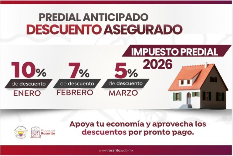 WhatsApp Image 2026-01-26 at 17.56.07