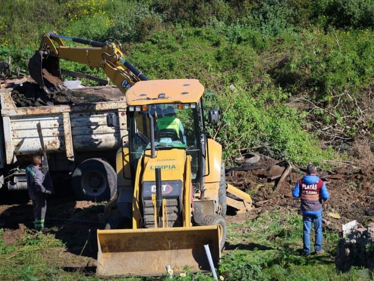 WhatsApp Image 2026-01-27 at 14.44.06