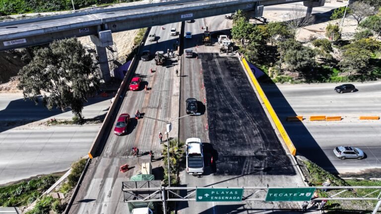 WhatsApp Image 2026-01-27 at 14.44.29