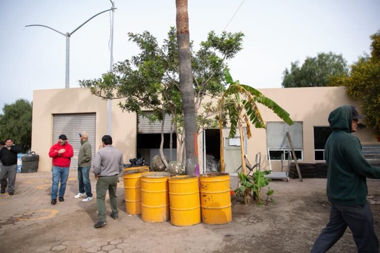 WhatsApp Image 2026-01-28 at 16.45.54