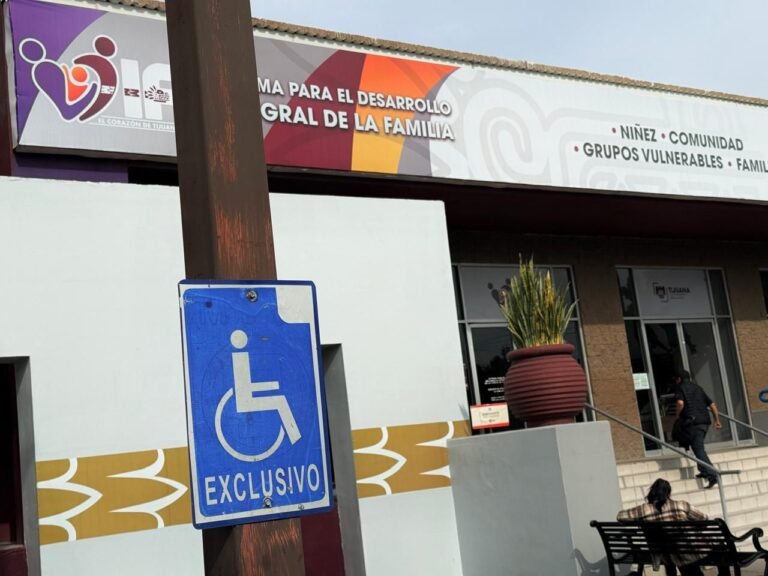 WhatsApp Image 2026-01-29 at 08.31.22