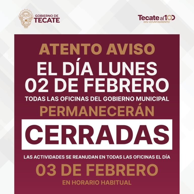 WhatsApp Image 2026-01-29 at 16.02.49