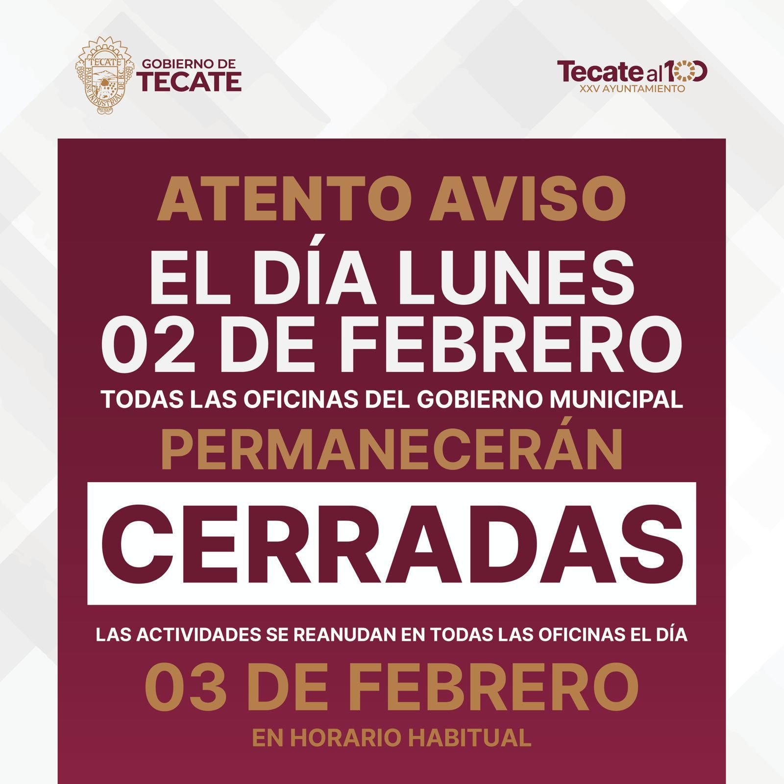 WhatsApp Image 2026-01-29 at 16.02.49