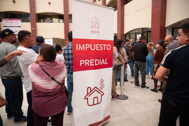 WhatsApp Image 2026-01-29 at 18.41.17