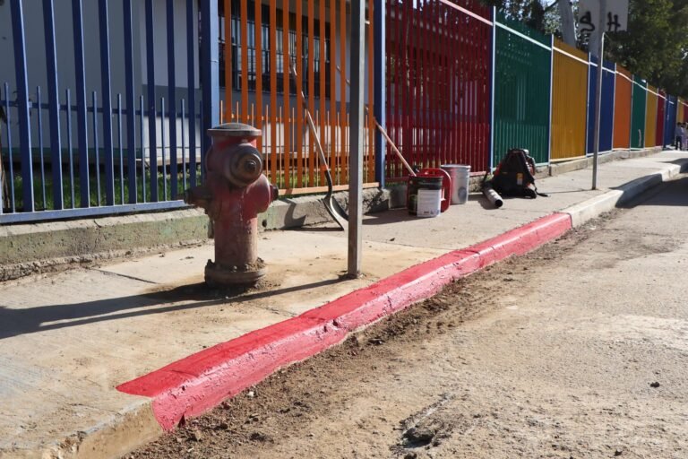 WhatsApp Image 2026-01-30 at 11.39.13