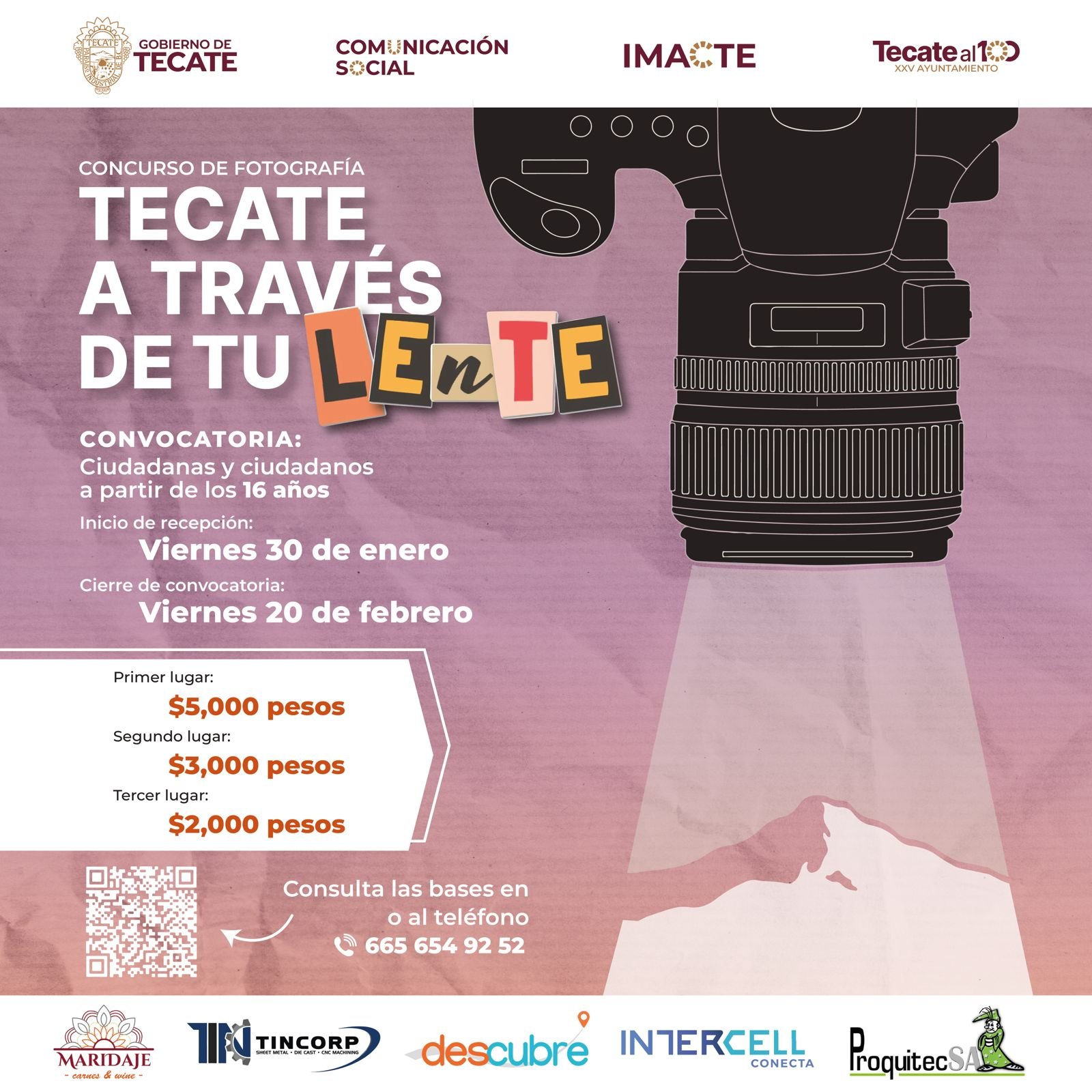 WhatsApp Image 2026-01-31 at 15.01.47