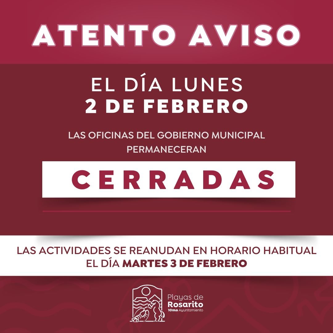 WhatsApp Image 2026-01-31 at 16.29.03