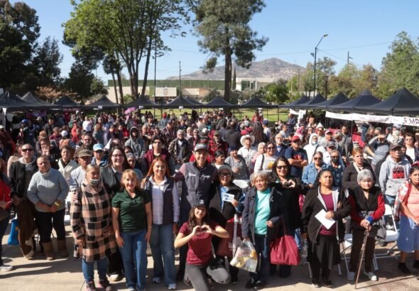 WhatsApp Image 2026-02-03 at 08.38.32 (2)